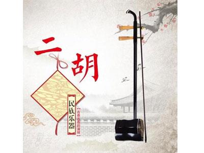 招聘台州二胡家教老师